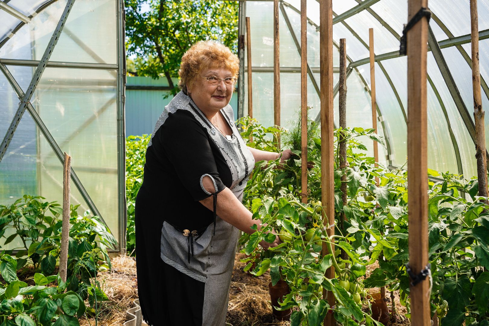 День семьи любви и верности, Семья, Праздник, Большая Шатура,