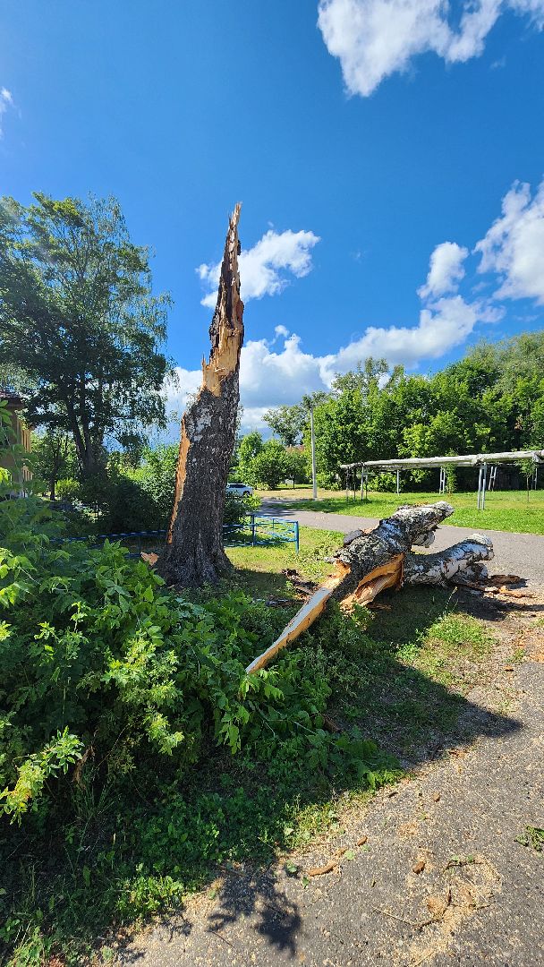 ураган, Стихия, Рошаль, Большая Шатура, Орхан, устранение последствий, жкх,