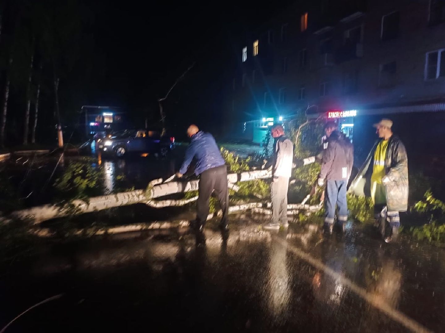 ураган, Стихия, Рошаль, Большая Шатура, Орхан, устранение последствий, жкх,