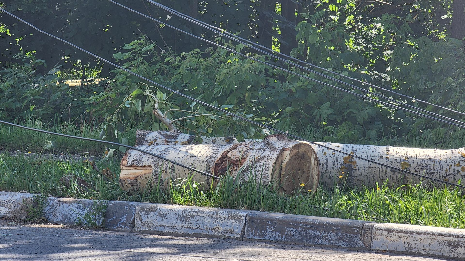 ураган, Стихия, Рошаль, Большая Шатура, Орхан, устранение последствий, жкх,