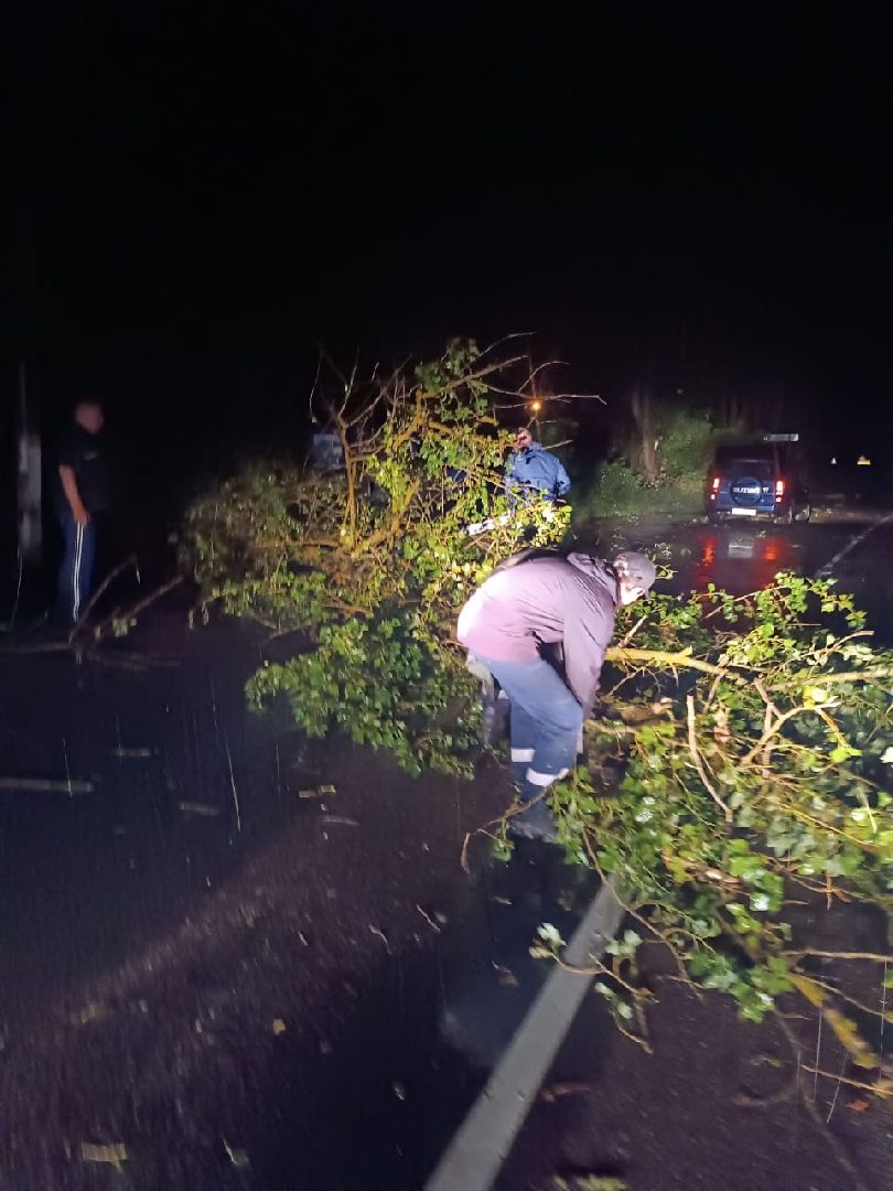 ураган, Стихия, Рошаль, Большая Шатура, Орхан, устранение последствий, жкх,