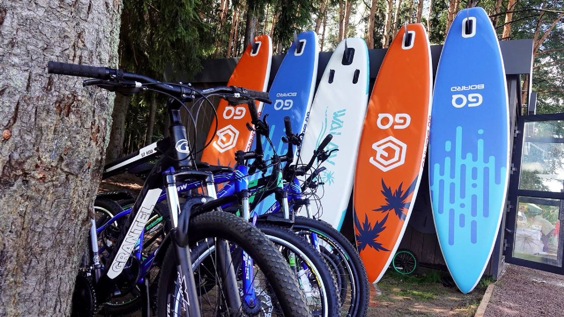 Загорское море,Парки в лесу, Лесопарк, Парки Подмосковья, Благоустройство, Сергиев Посад,