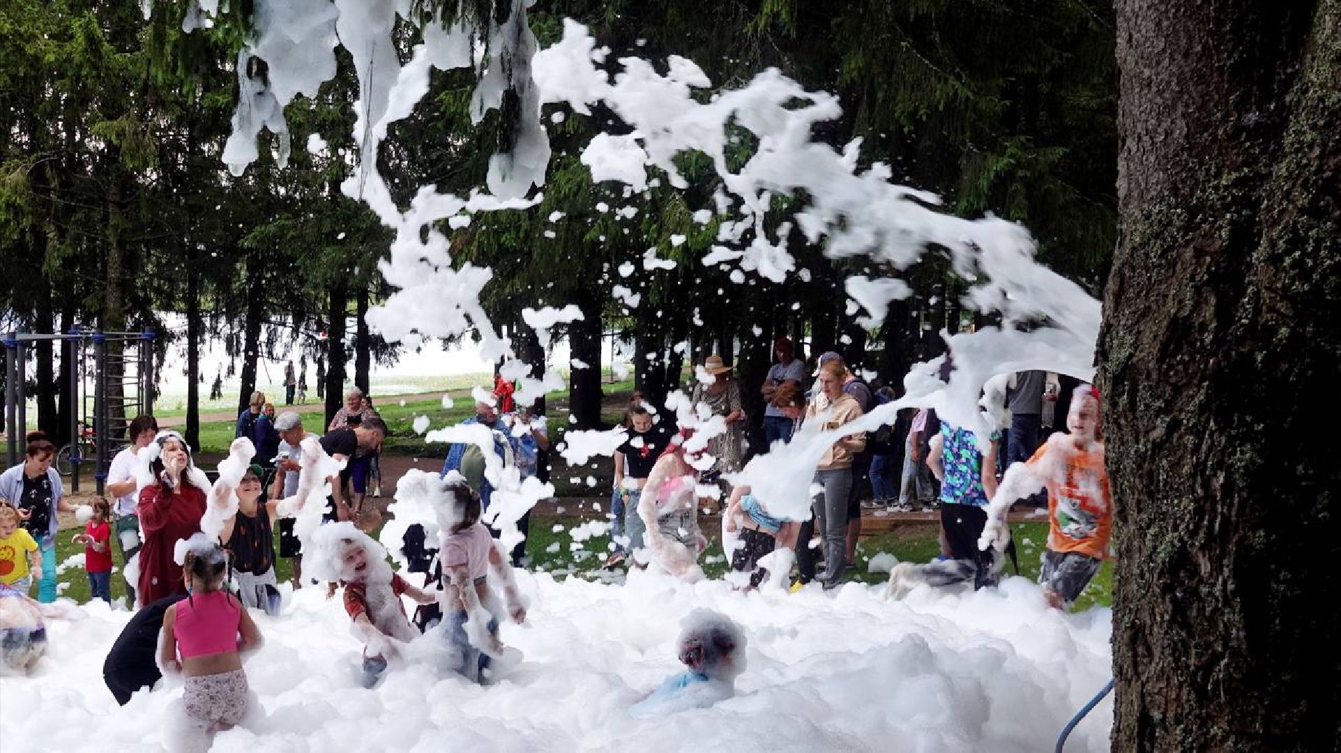 Загорское море,Парки в лесу, Лесопарк, Парки Подмосковья, Благоустройство, Сергиев Посад,