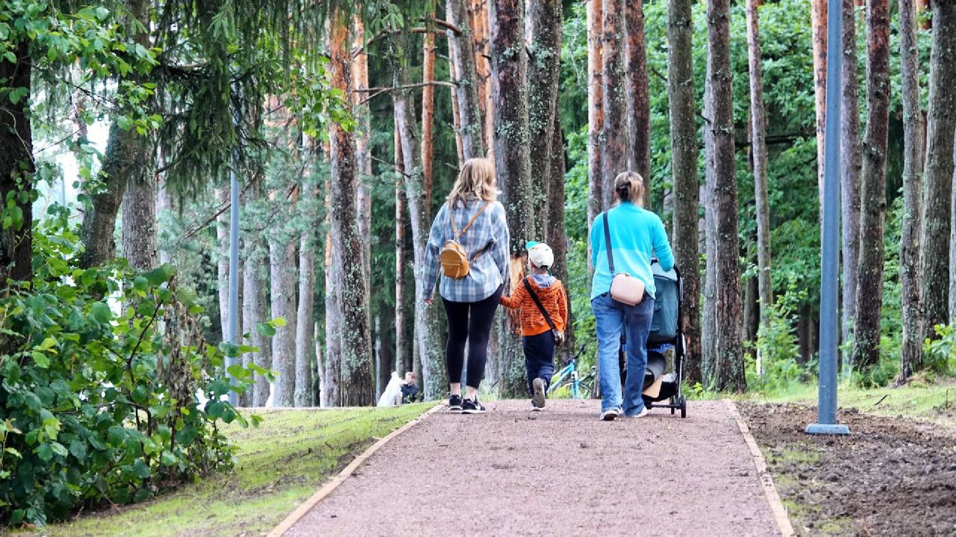 Загорское море,Парки в лесу, Лесопарк, Парки Подмосковья, Благоустройство, Сергиев Посад,