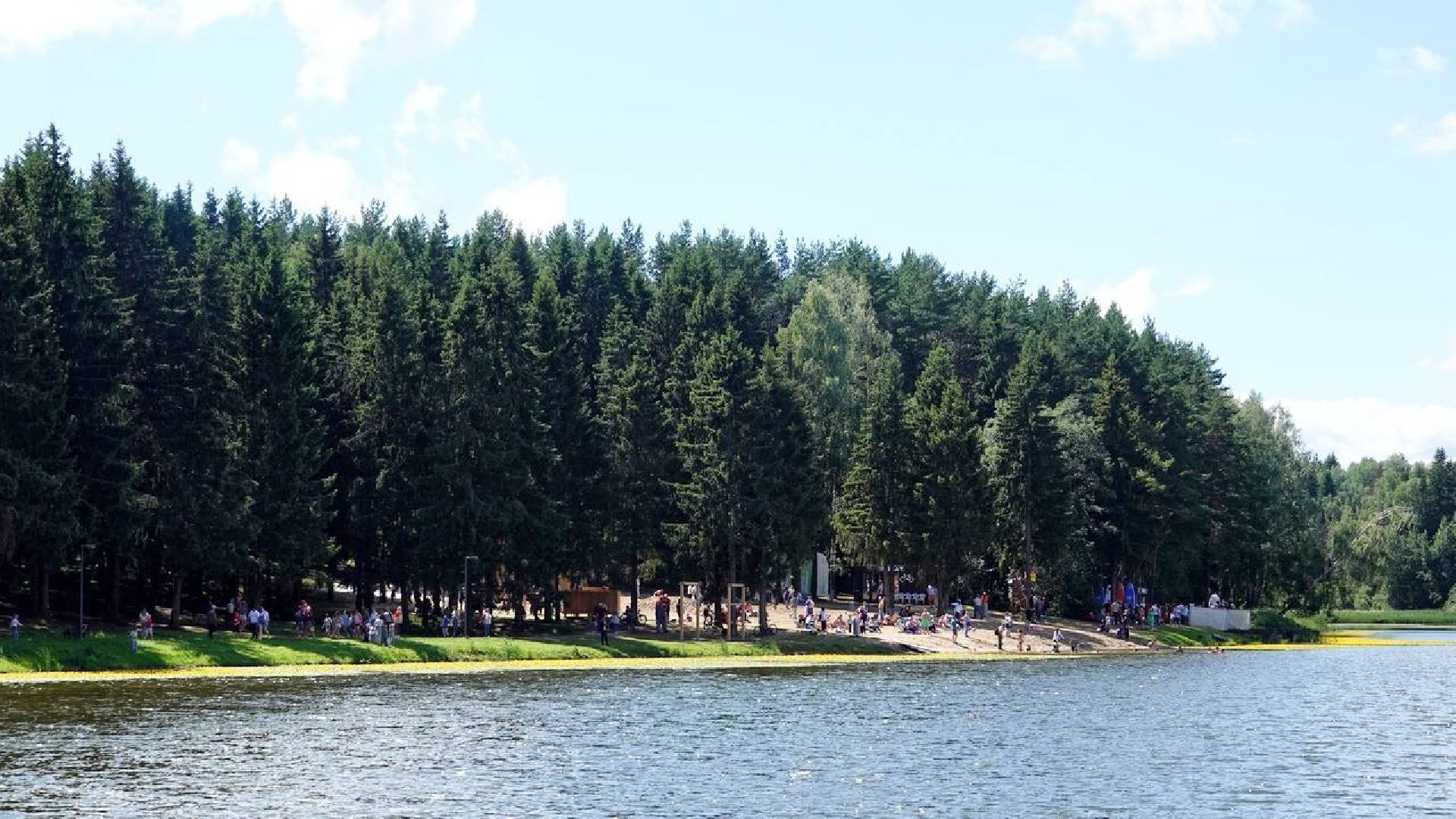 Загорское море,Парки в лесу, Лесопарк, Парки Подмосковья, Благоустройство, Сергиев Посад,