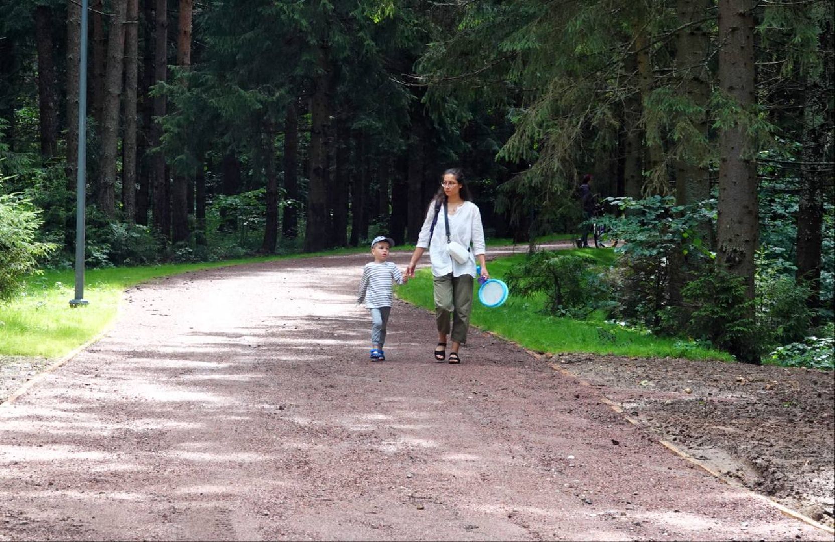 Загорское море,Парки в лесу, Лесопарк, Парки Подмосковья, Благоустройство, Сергиев Посад,