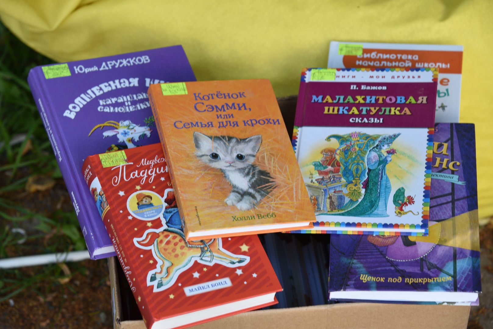 лотошино, лотошинская библиотека, лотошинский парк, лотошинский музей, дети, праздник,