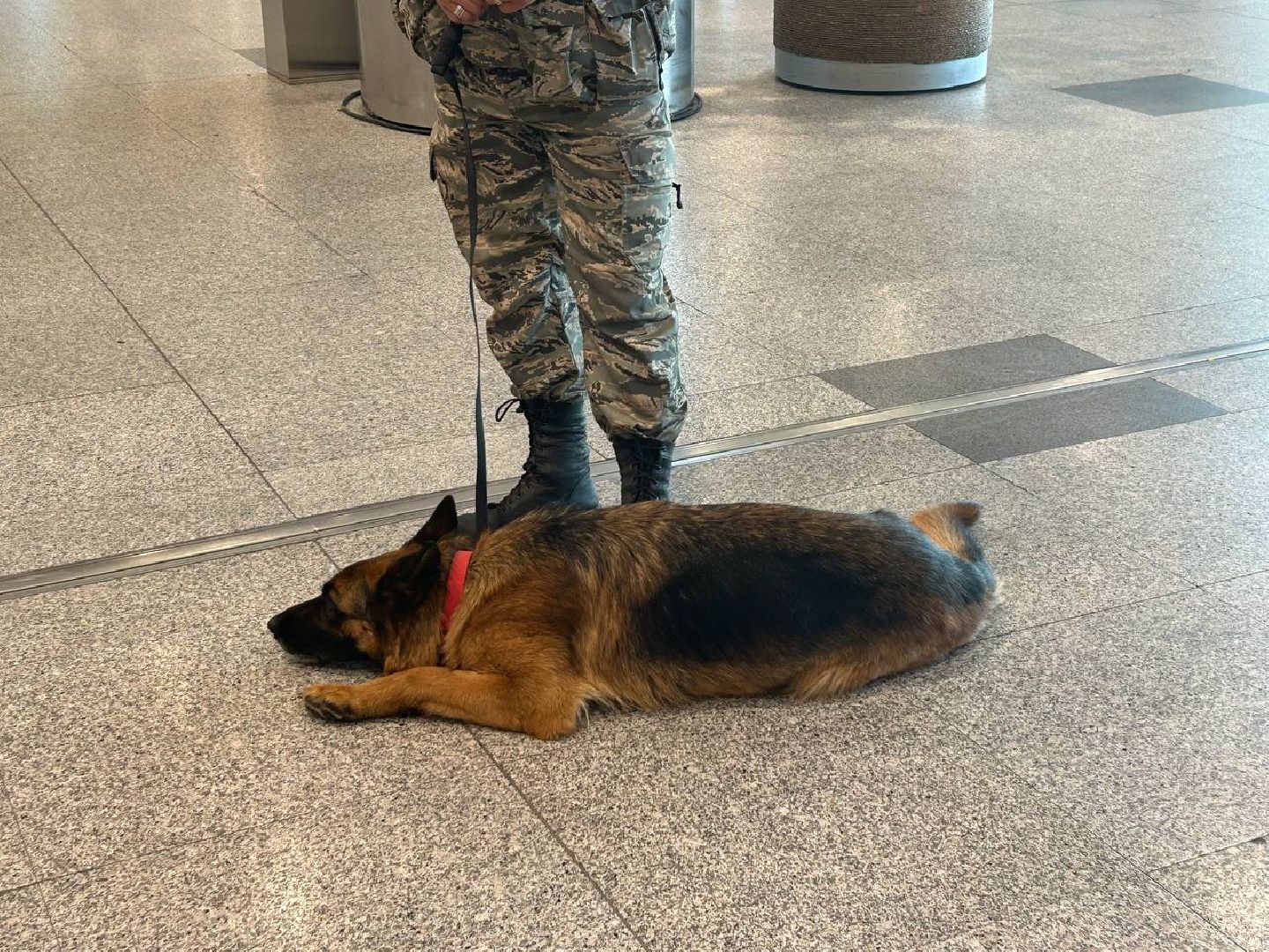 аэропорт Домодедово, медицинский центр, Домодедовская больница,