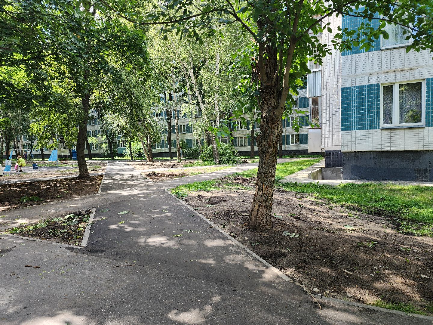 Черноголовка, Жкх, деревья, коммунальщики,