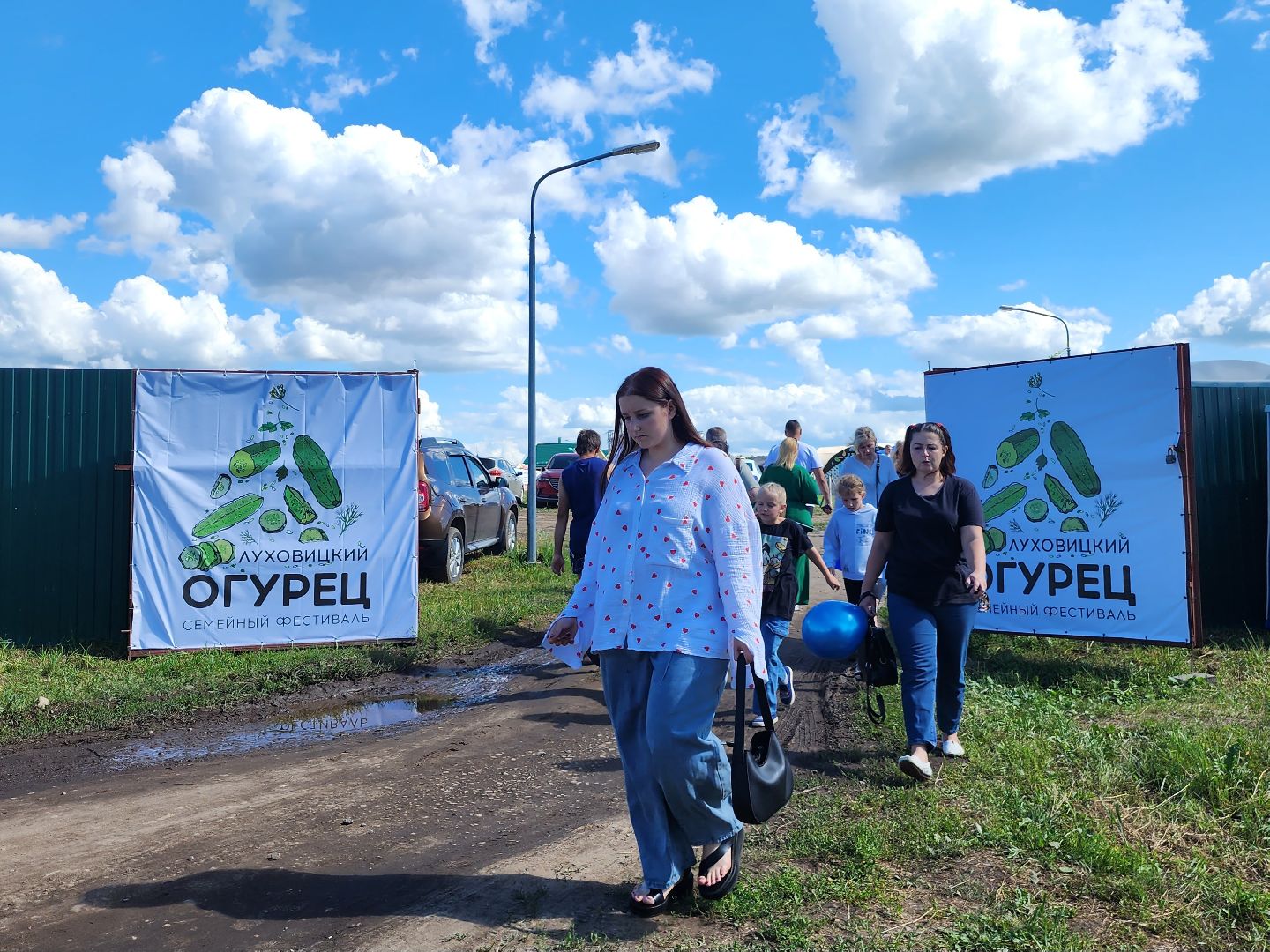 Луховицы, сельское хозяйство, огурец, фермерские продукты,