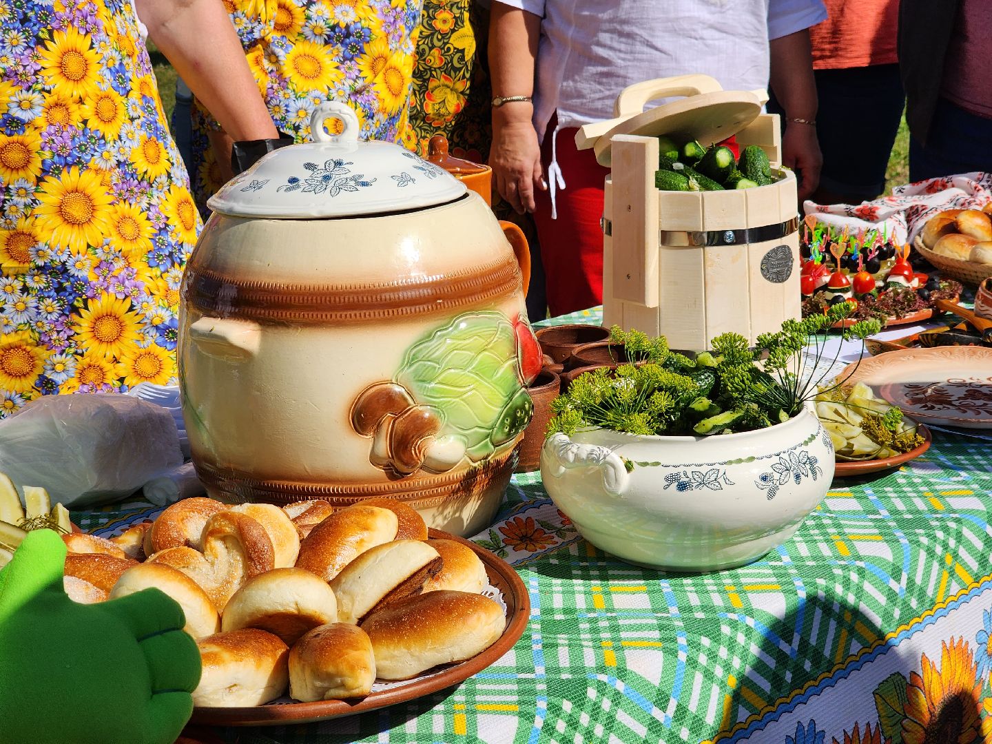 Луховицы, сельское хозяйство, огурец, фермерские продукты,