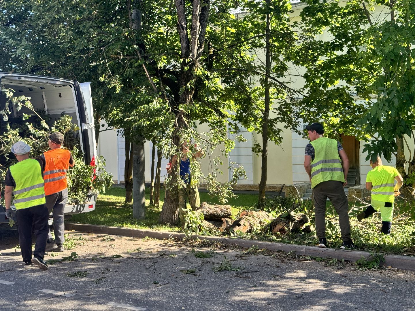 шаховская, дерево, упавшие деревья,коммунальная служба,
