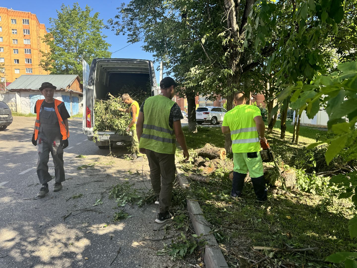 шаховская, дерево, упавшие деревья,коммунальная служба,