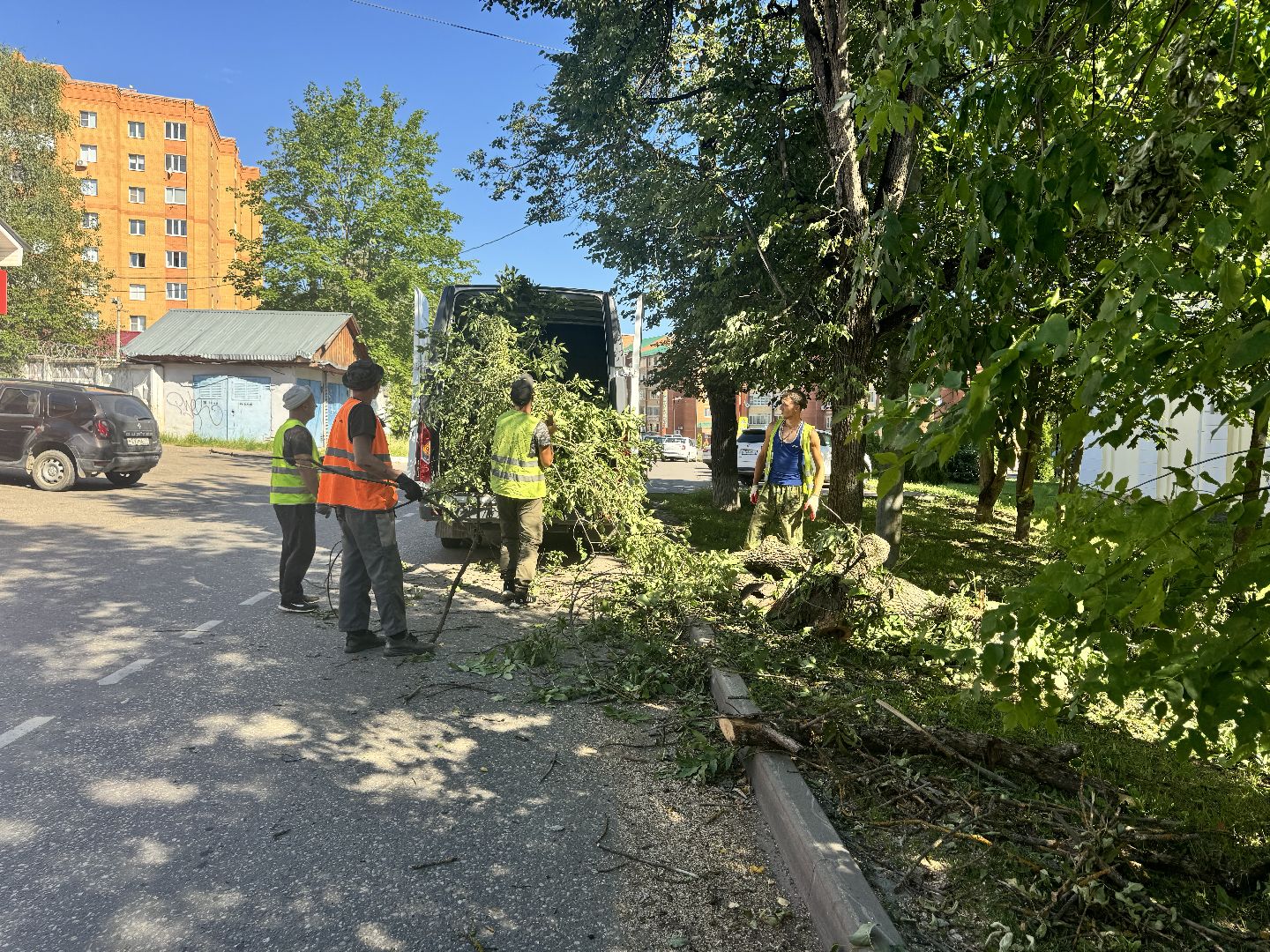шаховская, дерево, упавшие деревья,коммунальная служба,