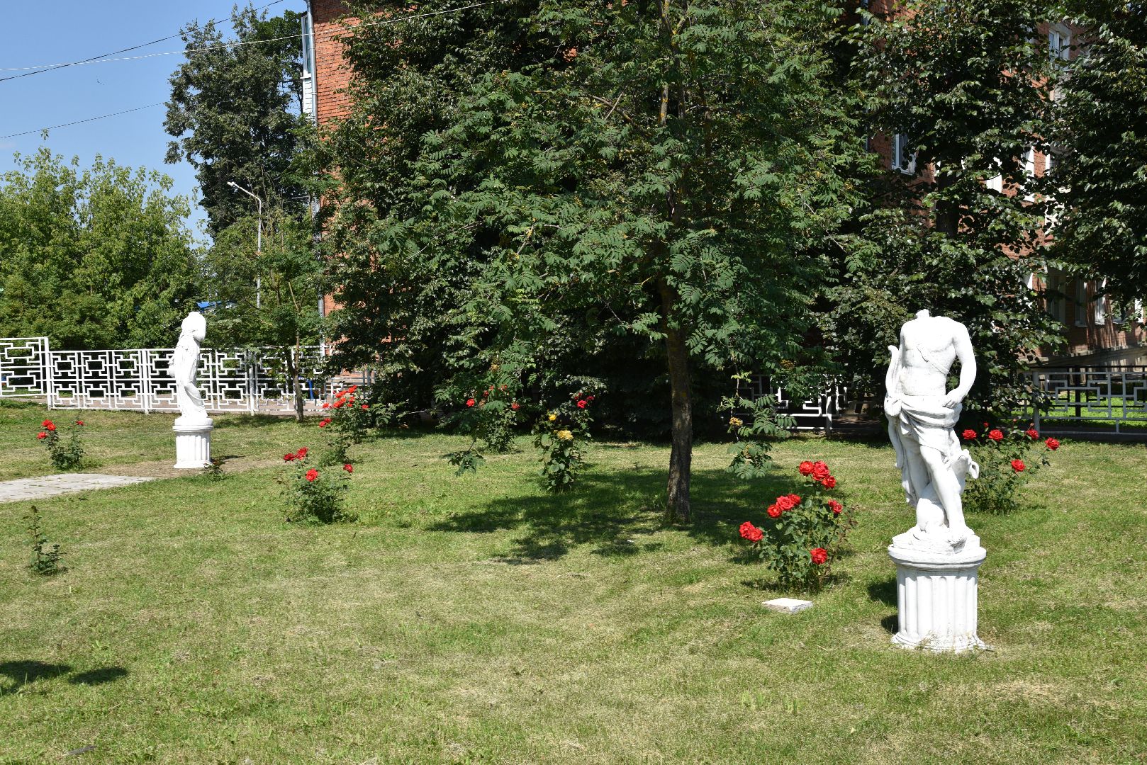 лотошино, лотошинская дши, сквер, правонарушение,