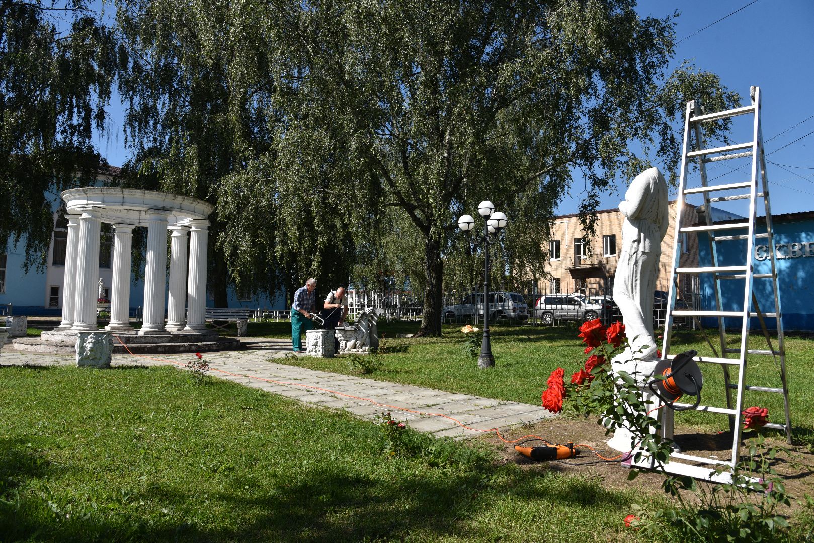 лотошино, лотошинская дши, сквер, правонарушение,