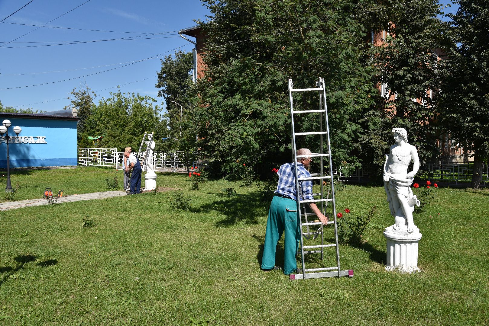 лотошино, лотошинская дши, сквер, правонарушение,