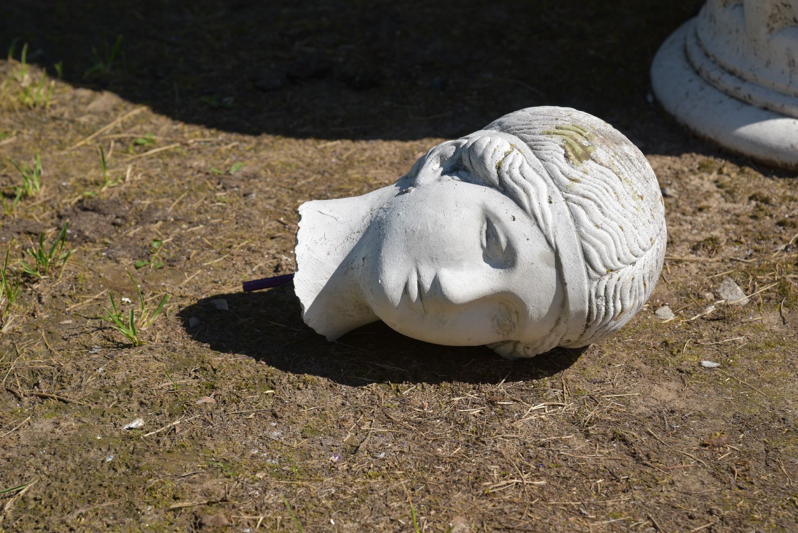 лотошино, лотошинская дши, сквер, правонарушение,