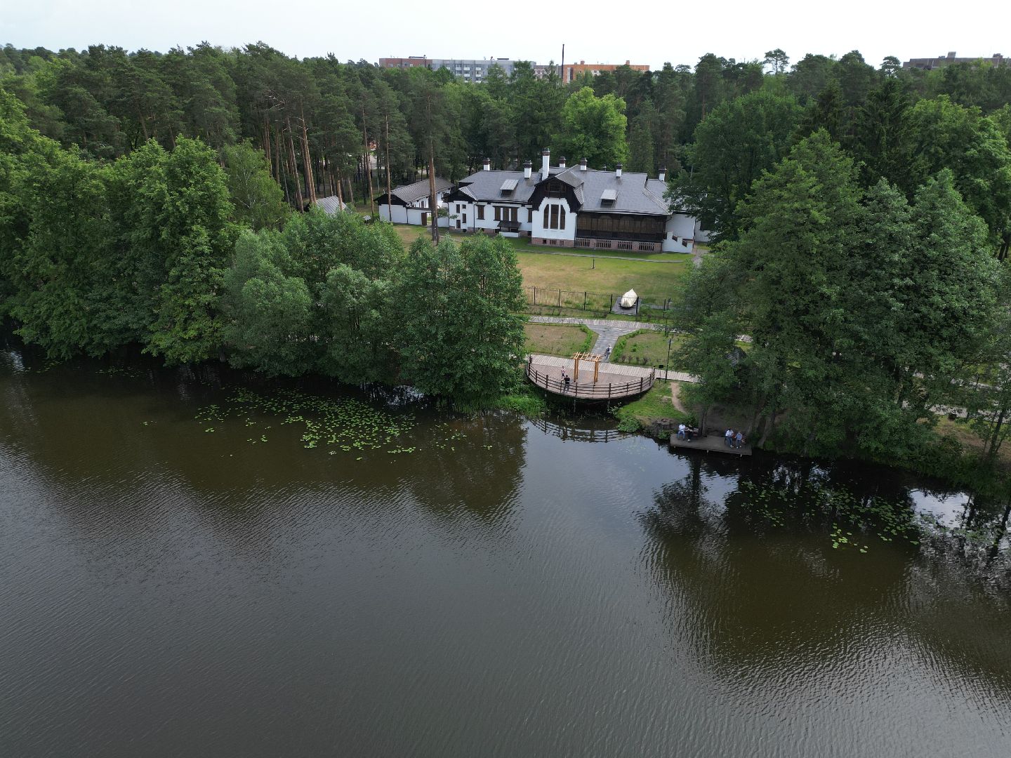 видео с коптера, парк,