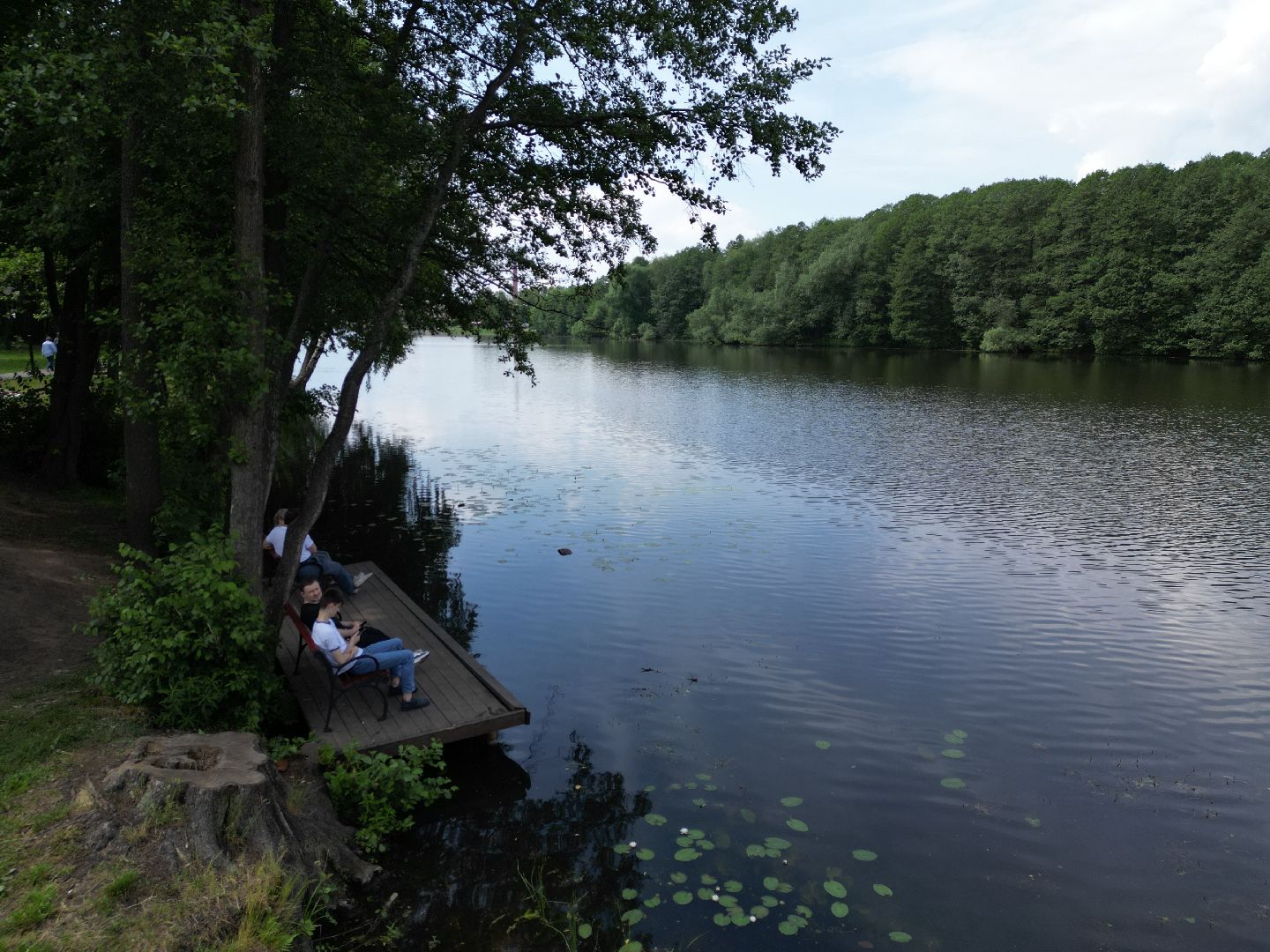 видео с коптера, парк,