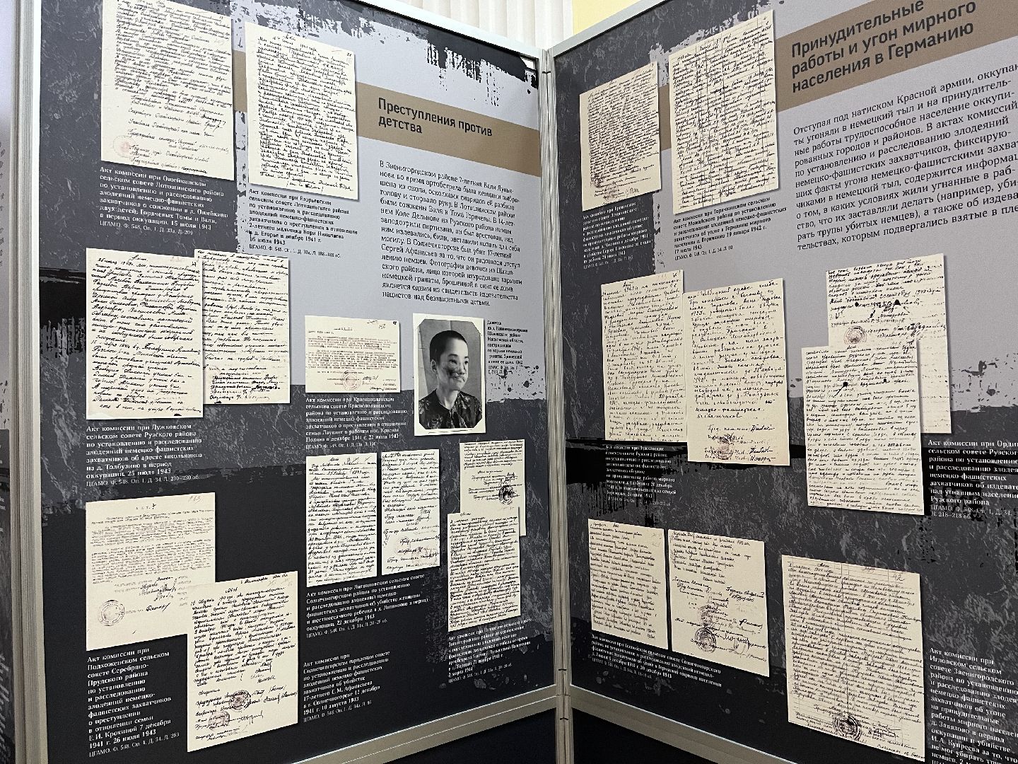 Шаховская, выставка, патриотизм