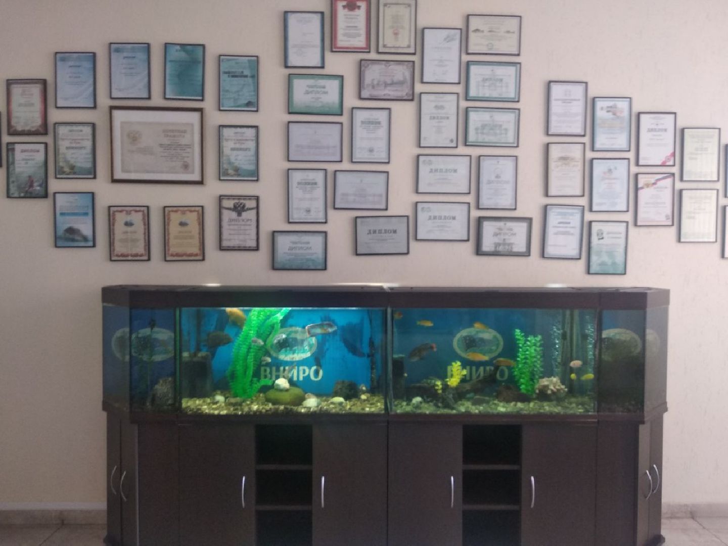 Дмитров, ВНИРО, ВНИИПРХ, Минэкологии МО