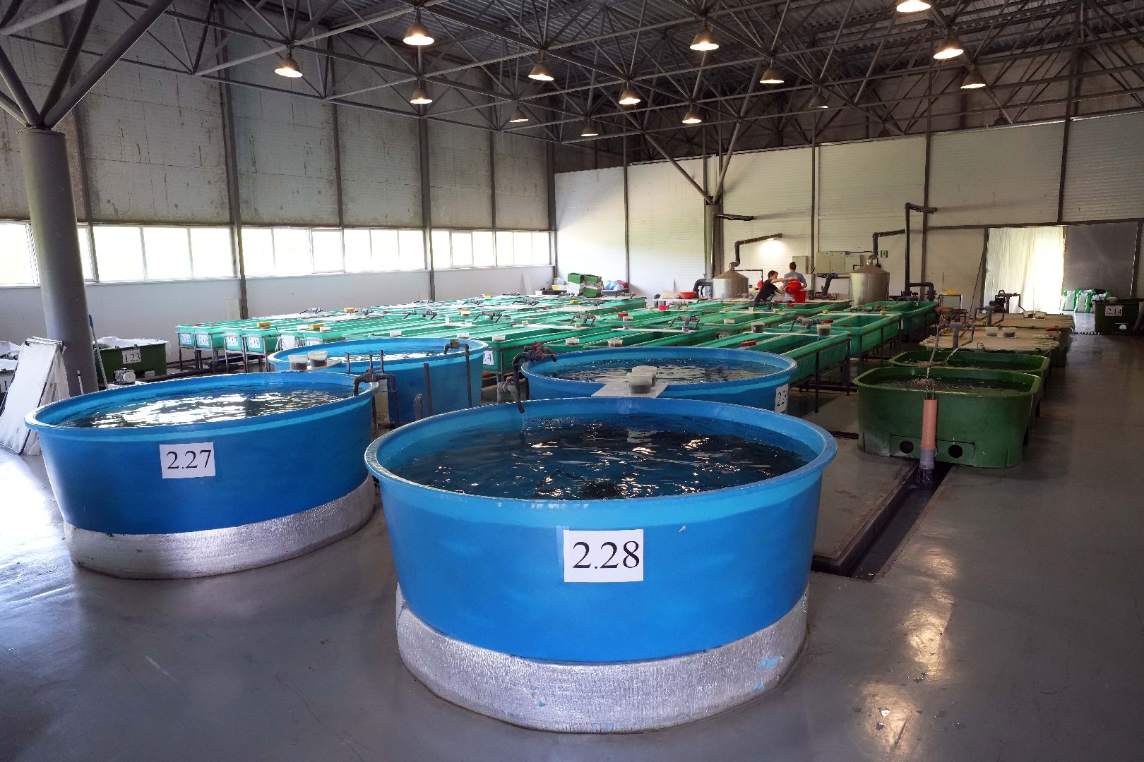 Дмитров, ВНИРО, ВНИИПРХ, Минэкологии МО