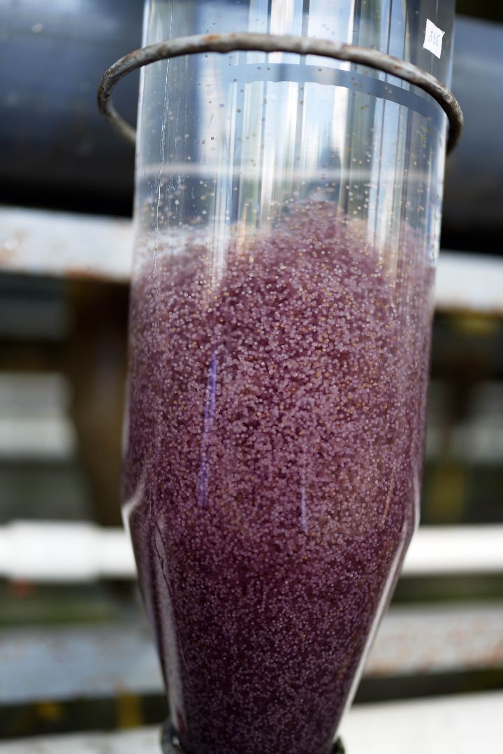 Дмитров, ВНИРО, ВНИИПРХ, Минэкологии МО