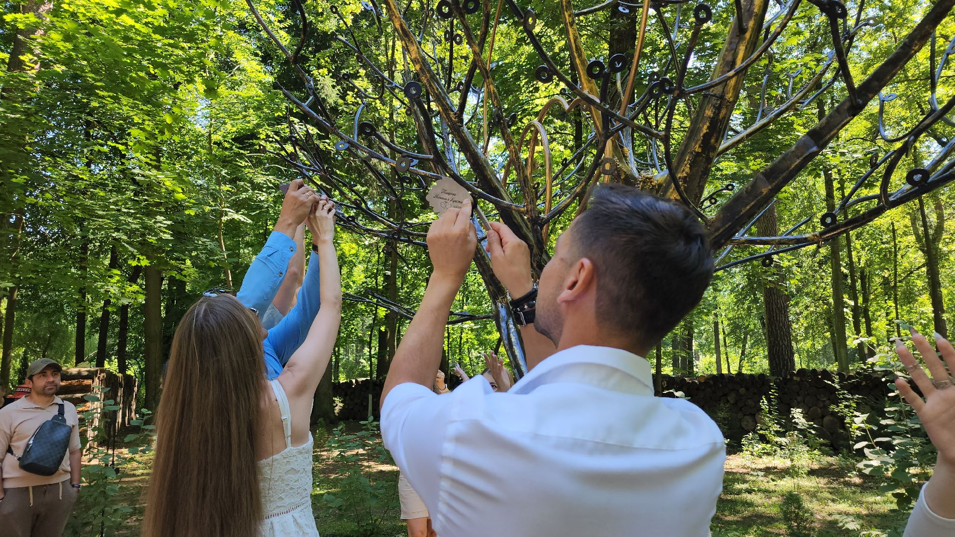 экологический проект, Дерево любви, парк Волхонка, Ногинск, Богородский городской округ,