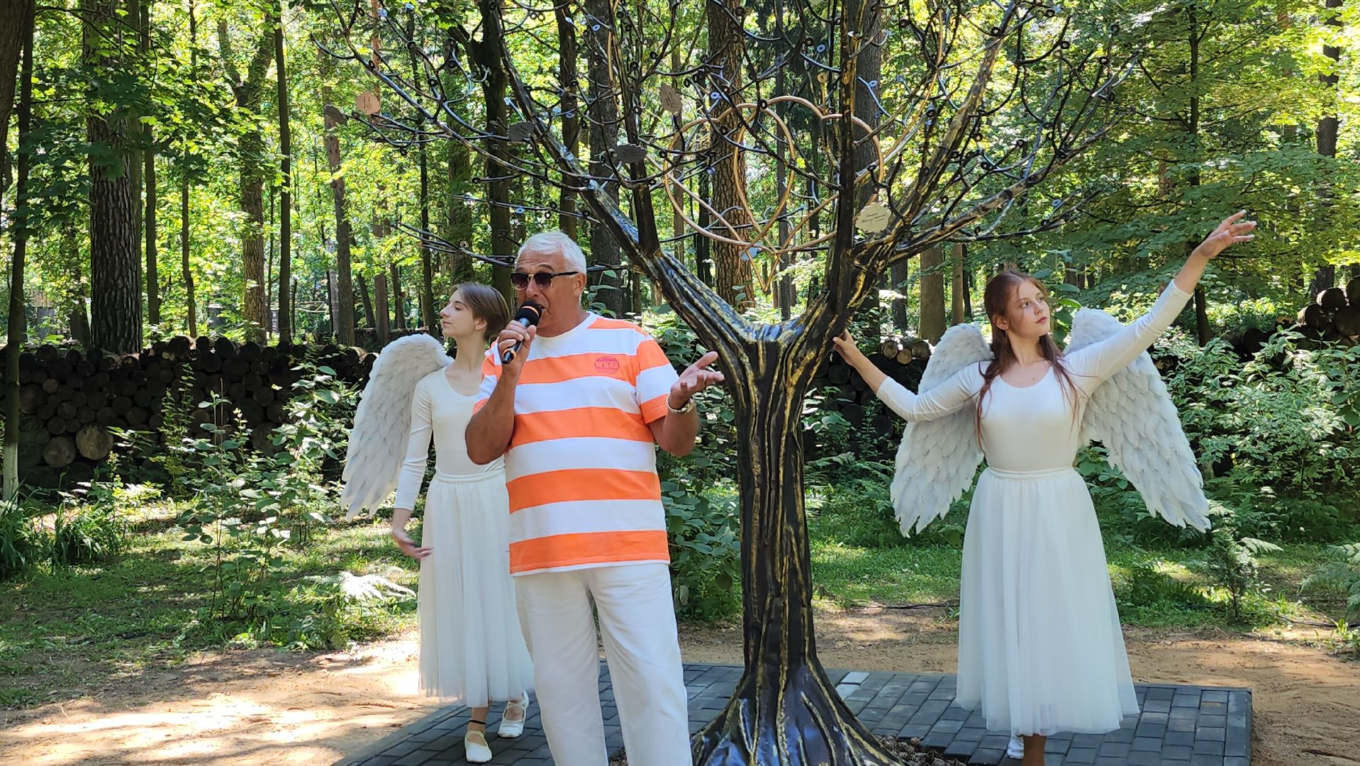 экологический проект, Дерево любви, парк Волхонка, Ногинск, Богородский городской округ,