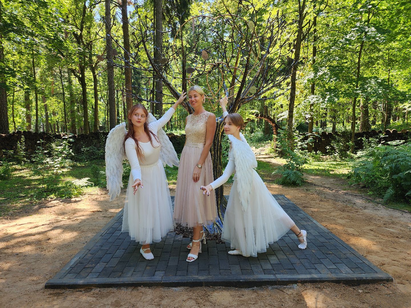 экологический проект, Дерево любви, парк Волхонка, Ногинск, Богородский городской округ,