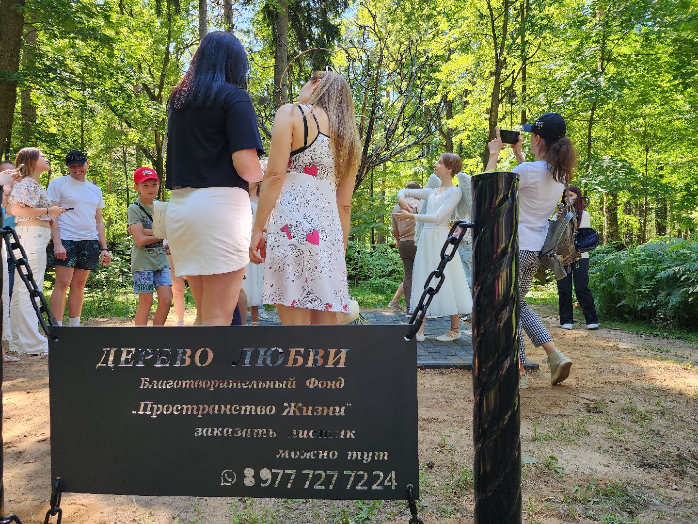 экологический проект, Дерево любви, парк Волхонка, Ногинск, Богородский городской округ,