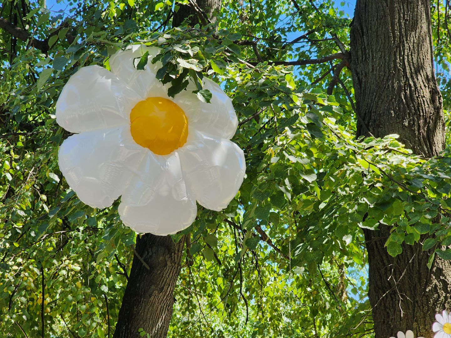 Коломна, день семьи любви и верности, активное долголетие,