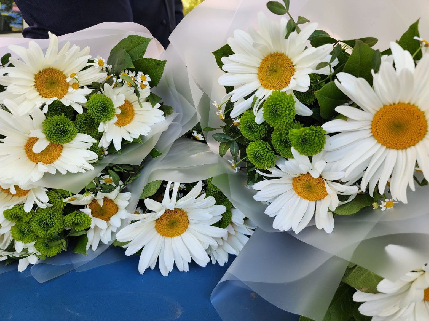 день любви семьи и верности, 8 июля, юбиляры семейной жизни, ленинский округ, видное, центр социального обслуживания,