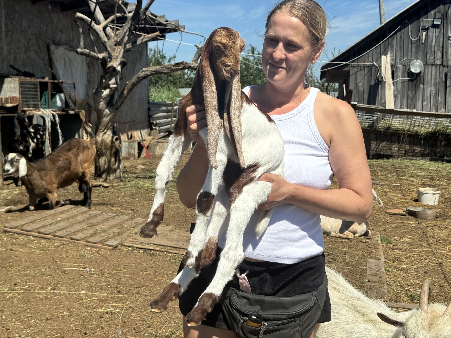 шаховская, агротуризм, сельское хозяйство,
