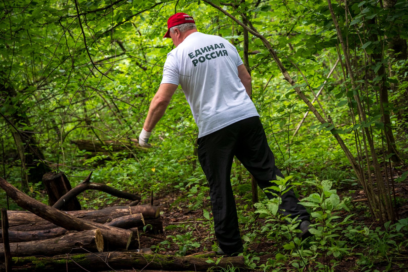 Чистый город, Уборка леса, экология, Домодедово,