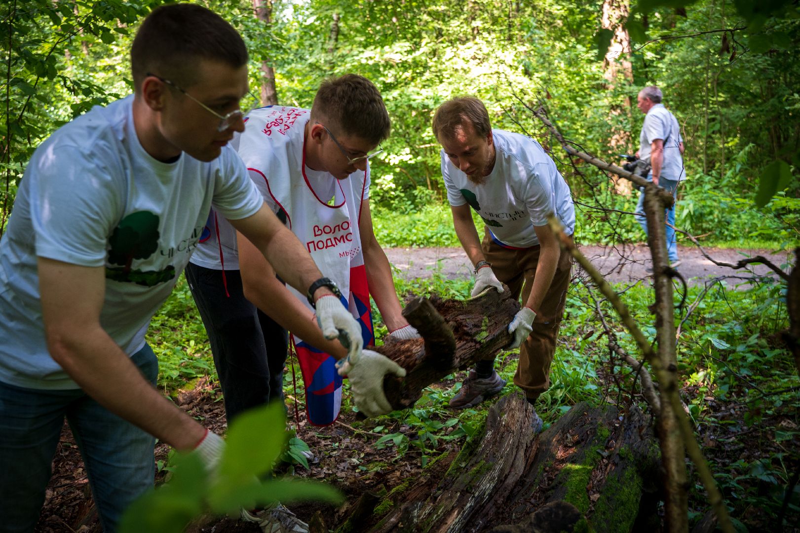 Чистый город, Уборка леса, экология, Домодедово,
