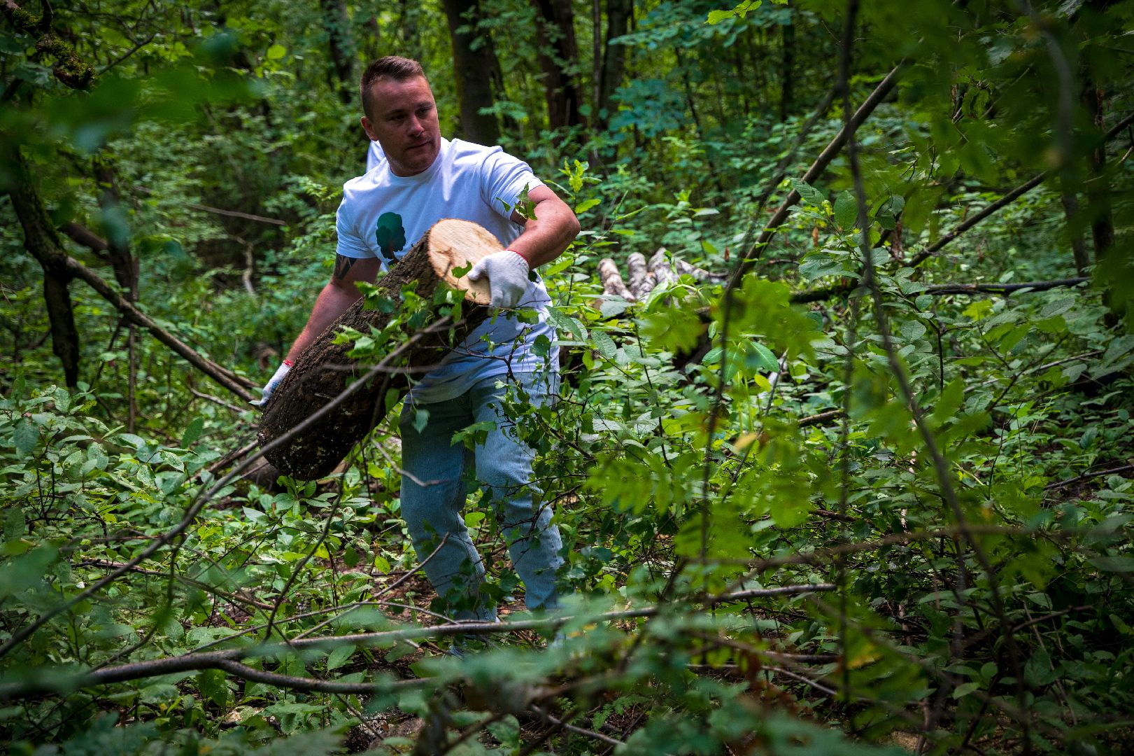 Чистый город, Уборка леса, экология, Домодедово,