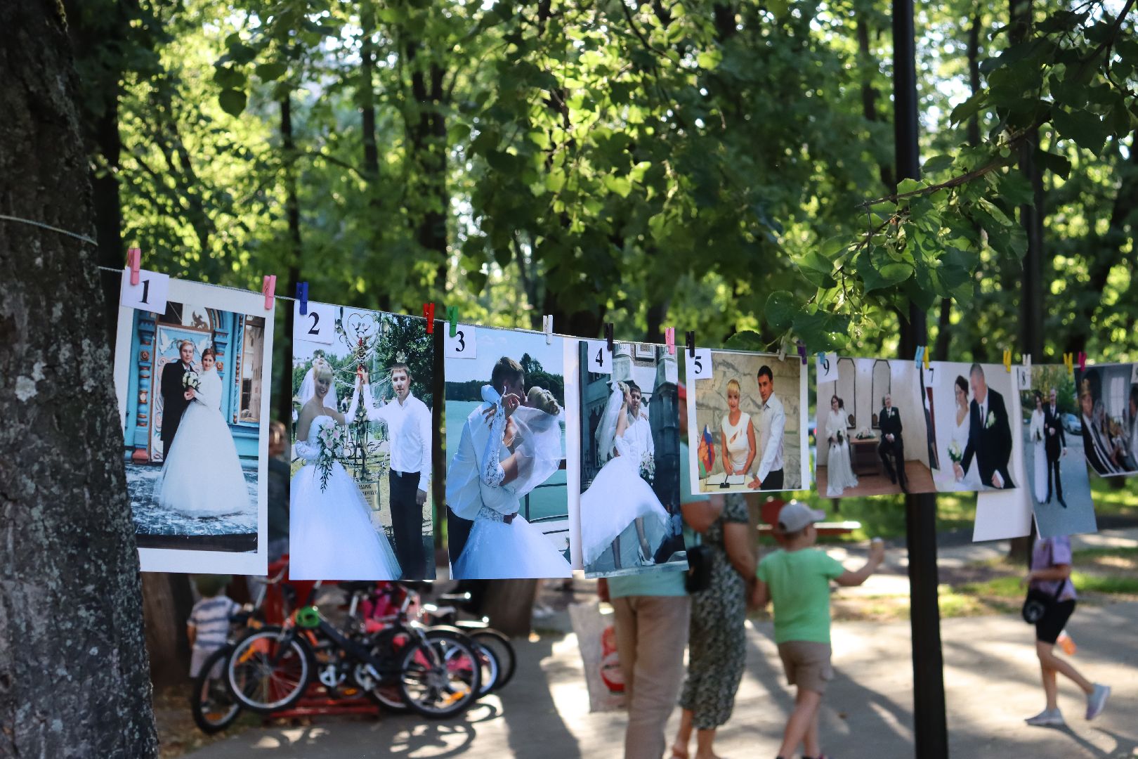 Андроник Пак, дзержинский, Сергий Калашников, День семьи, день семьи,