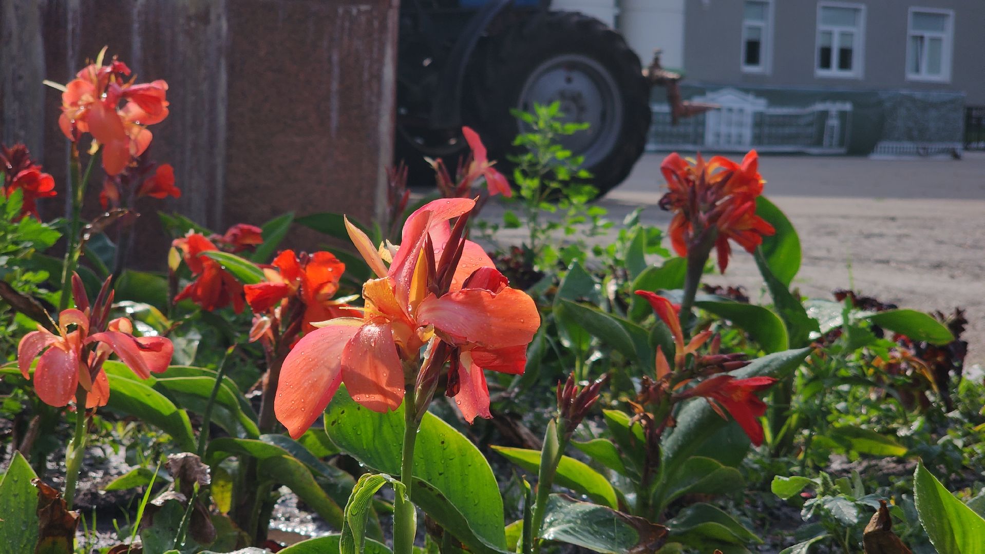 ступино, Полив цветов, комфортная городская среда,