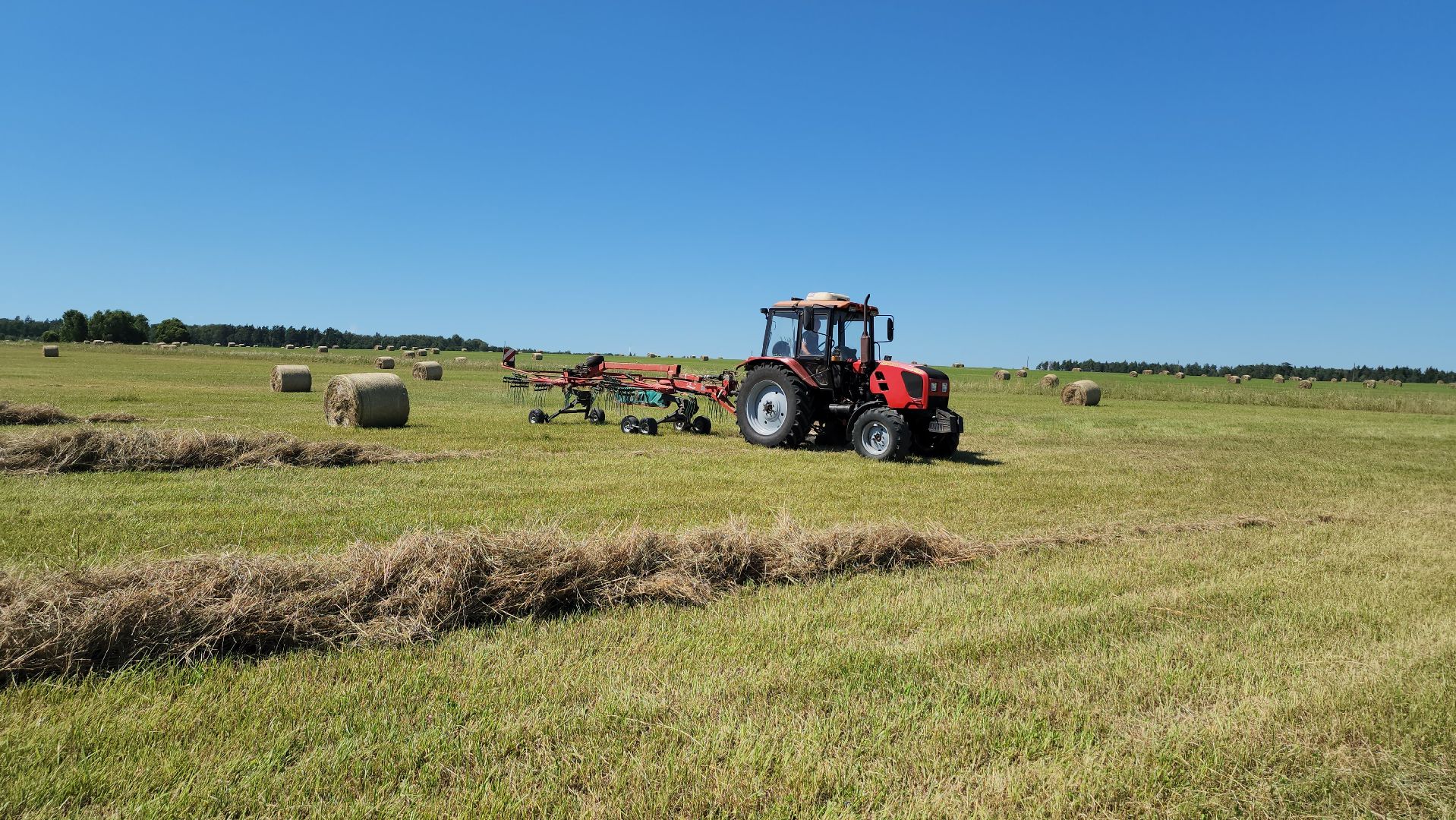 серпухов, деревня барыбино, заготовка сена, агрокомплекс, туровский, сельское хозяйство,