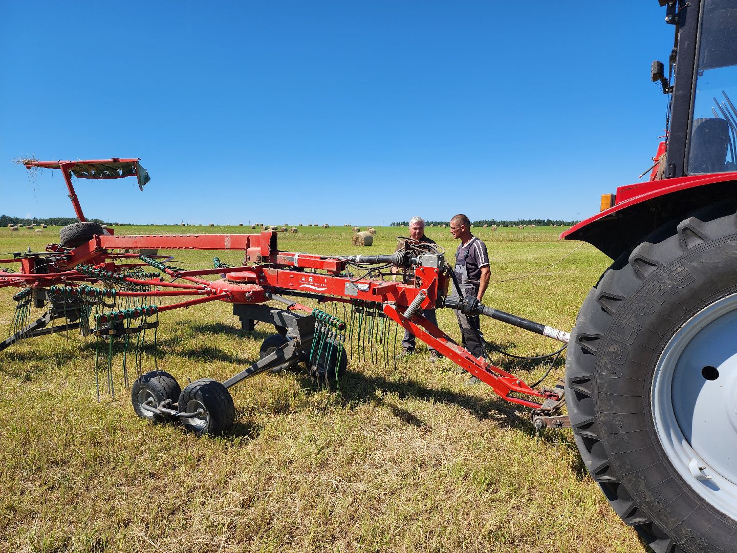 серпухов, деревня барыбино, заготовка сена, агрокомплекс, туровский, сельское хозяйство,
