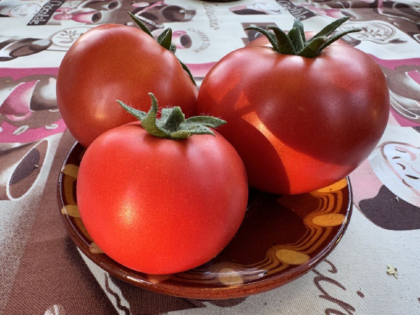 садоводство, огородничество, урожай, Старая Купавна, Богородский городской округ,