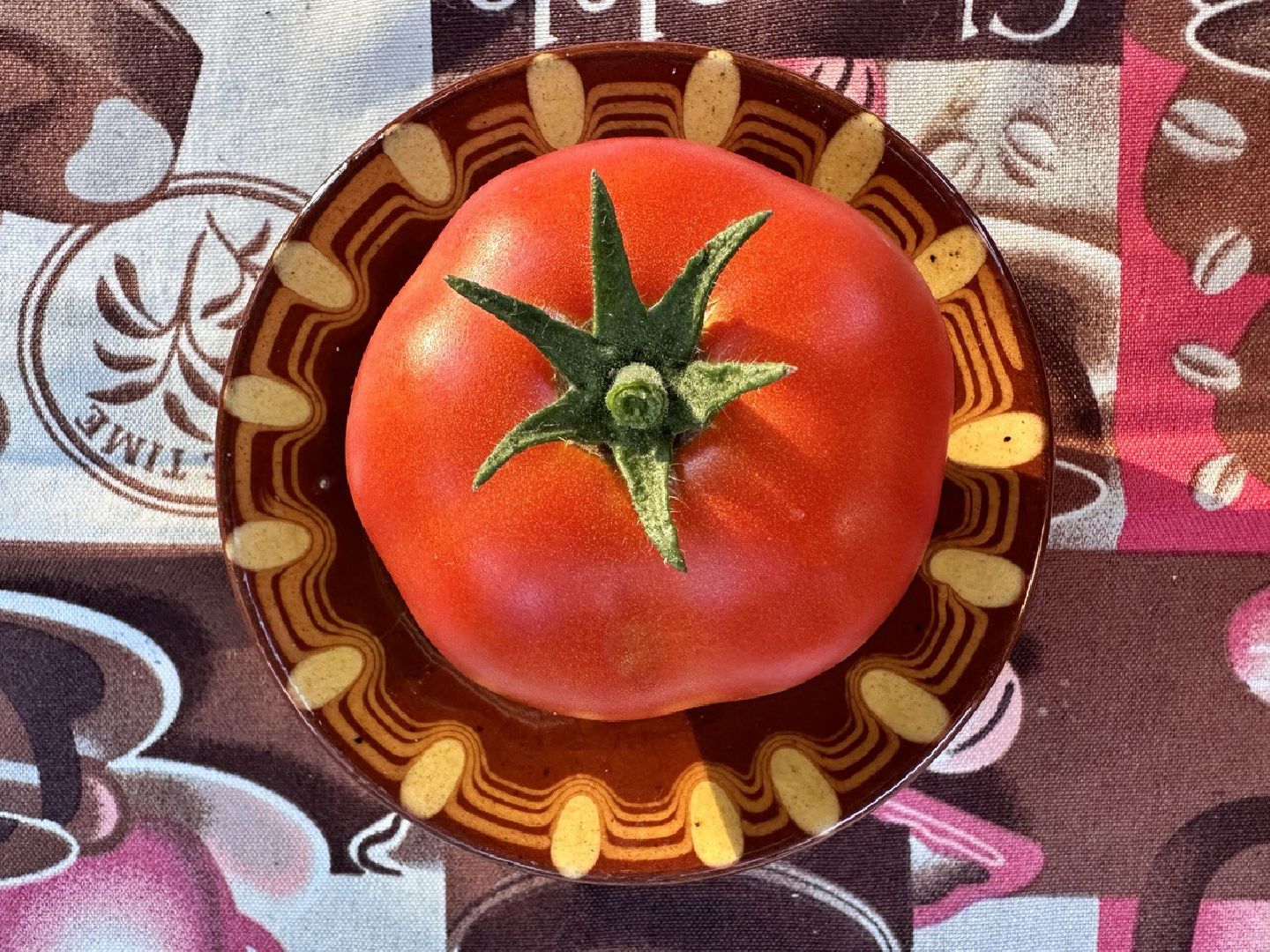 садоводство, огородничество, урожай, Старая Купавна, Богородский городской округ,