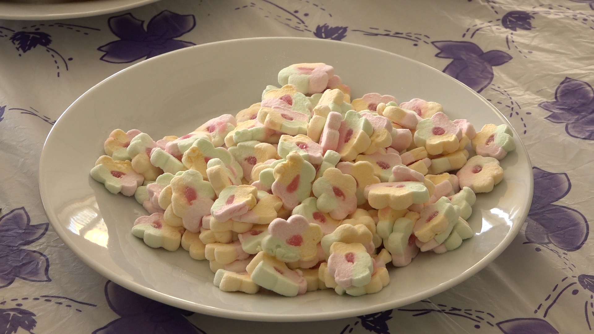 школа Перспектива, Власиха Перспектива, летний лагерь Перспектива, волонтеры Власихи, пришкольный лагерь Власиха,