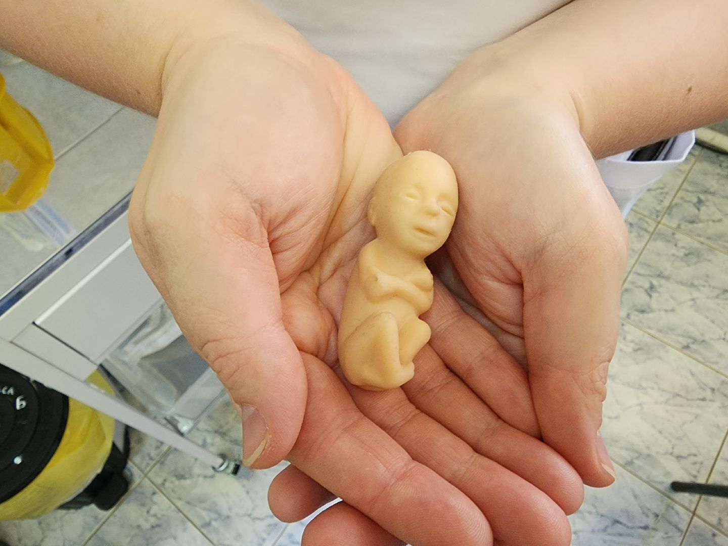 новый врач, гинеколог,