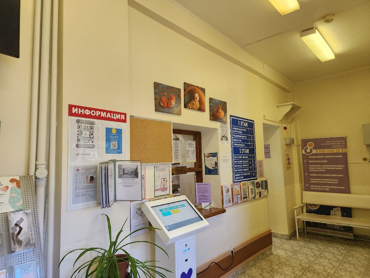 новый врач, гинеколог,