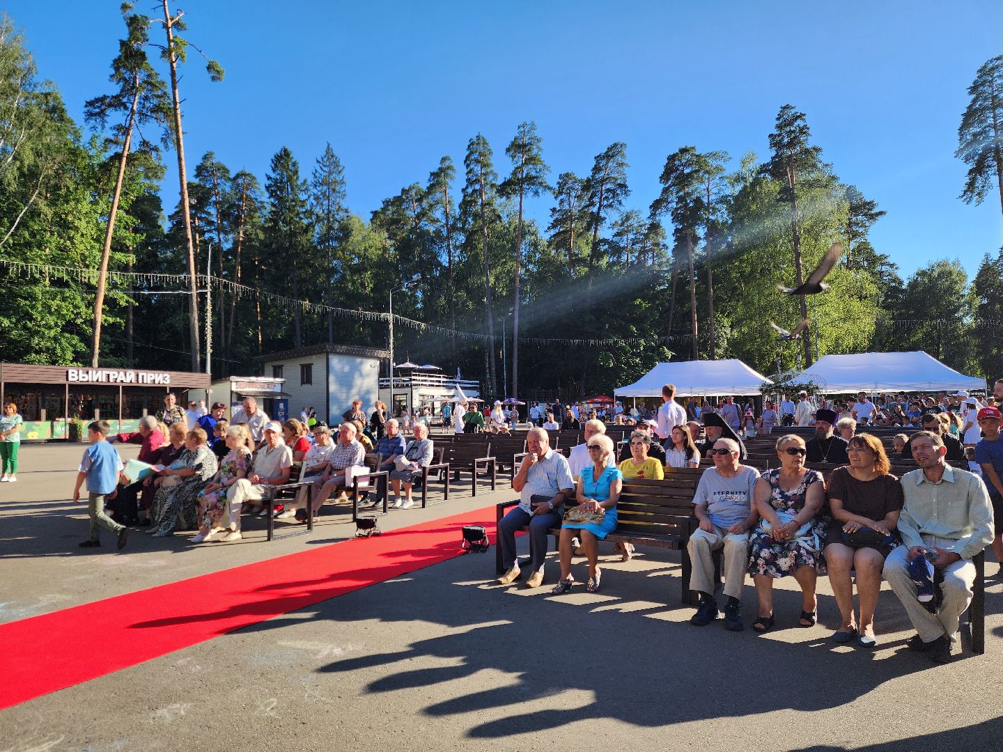 ногинск, день семьи любви и верности, общество, жители, центральный парк, дети, год семьи,