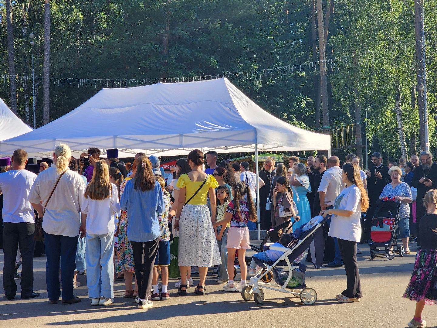 ногинск, день семьи любви и верности, общество, жители, центральный парк, дети, год семьи,