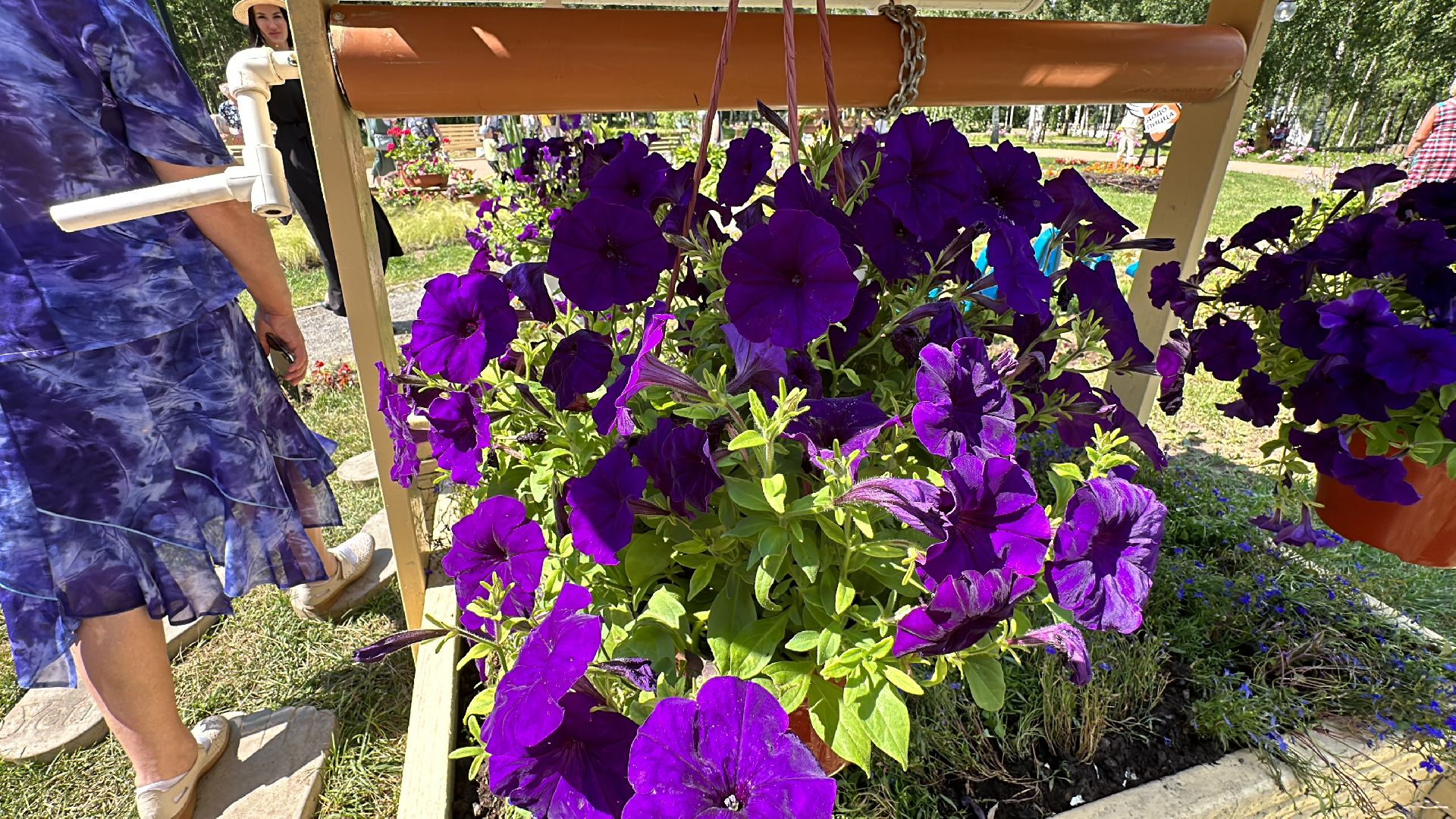 Клин, общество, фестивали, культура, цветы, флористика,